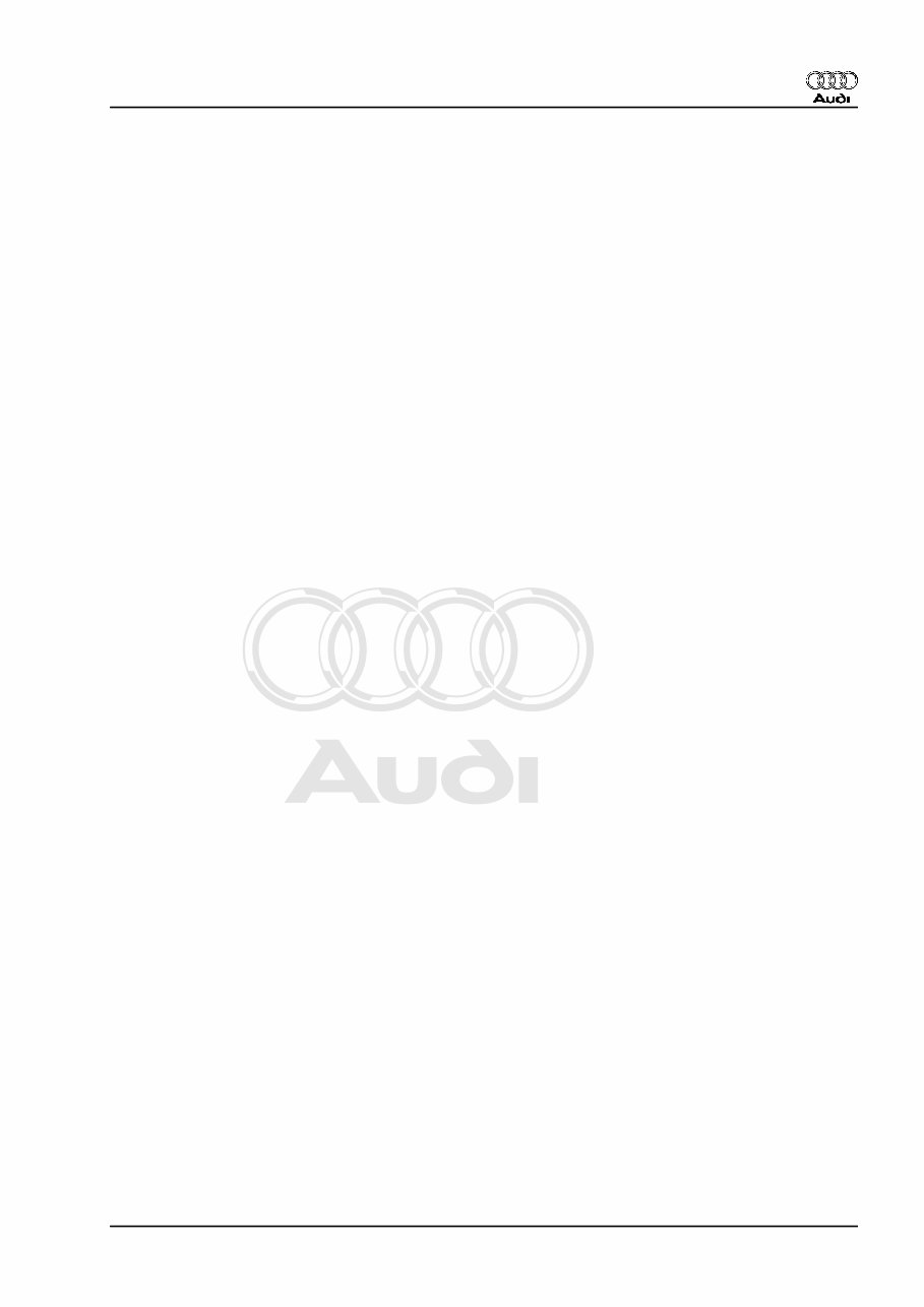 2000-2004 Audi A6 (C5) OEM Service & Repair Manual preview img 3