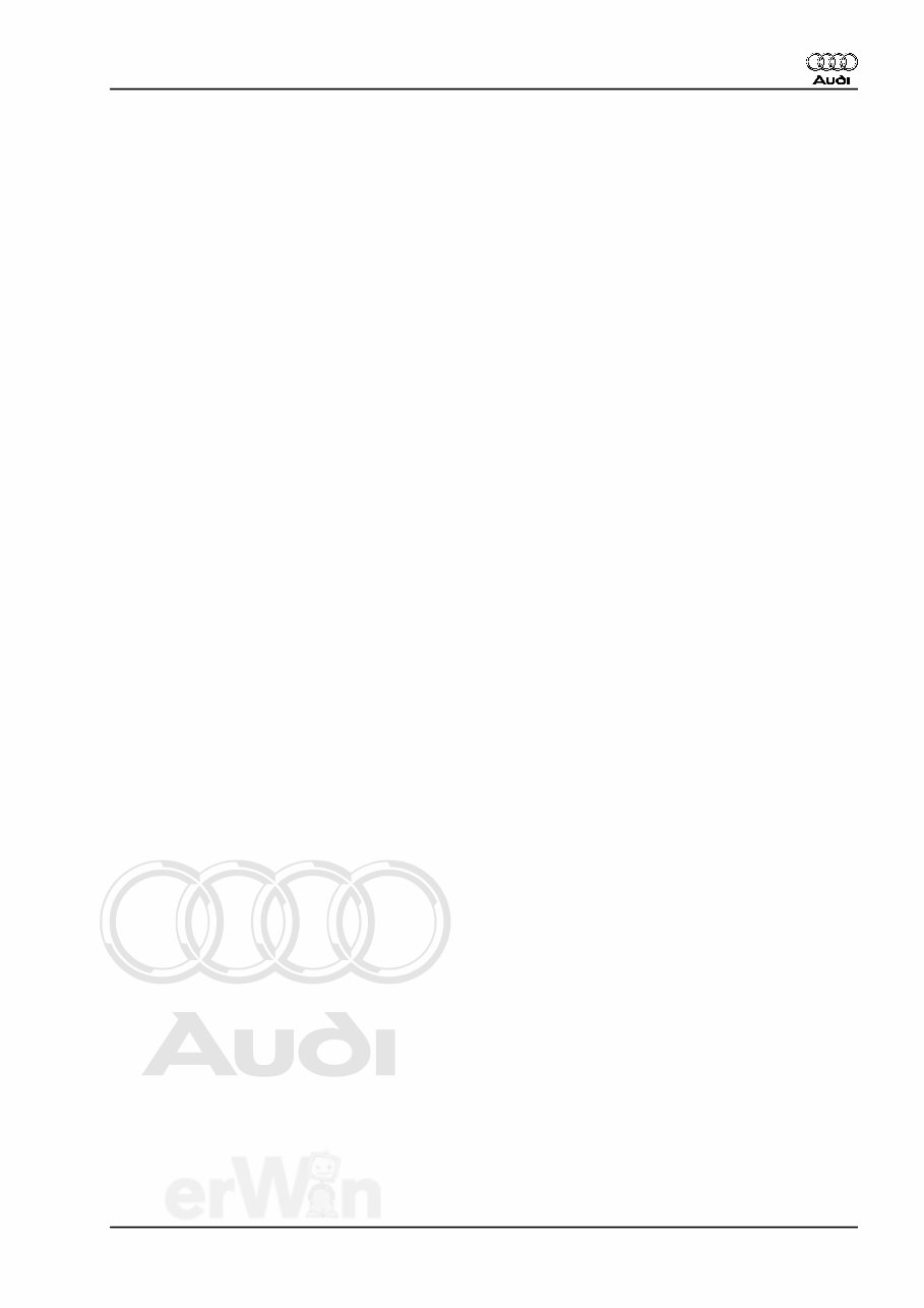 2009 Audi R8 Download Service & Repair Manual preview img 3