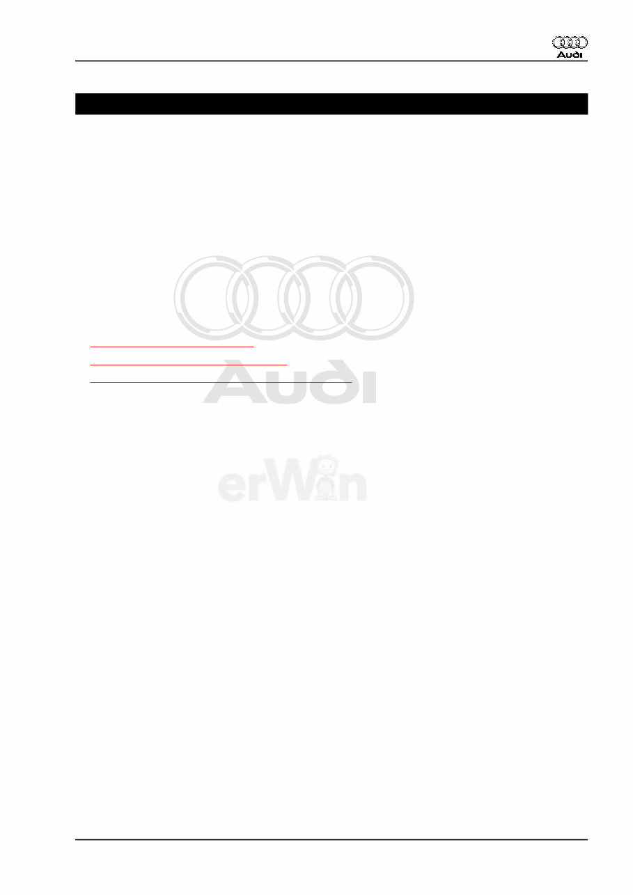 2009 Audi R8 Download Service & Repair Manual preview img 5