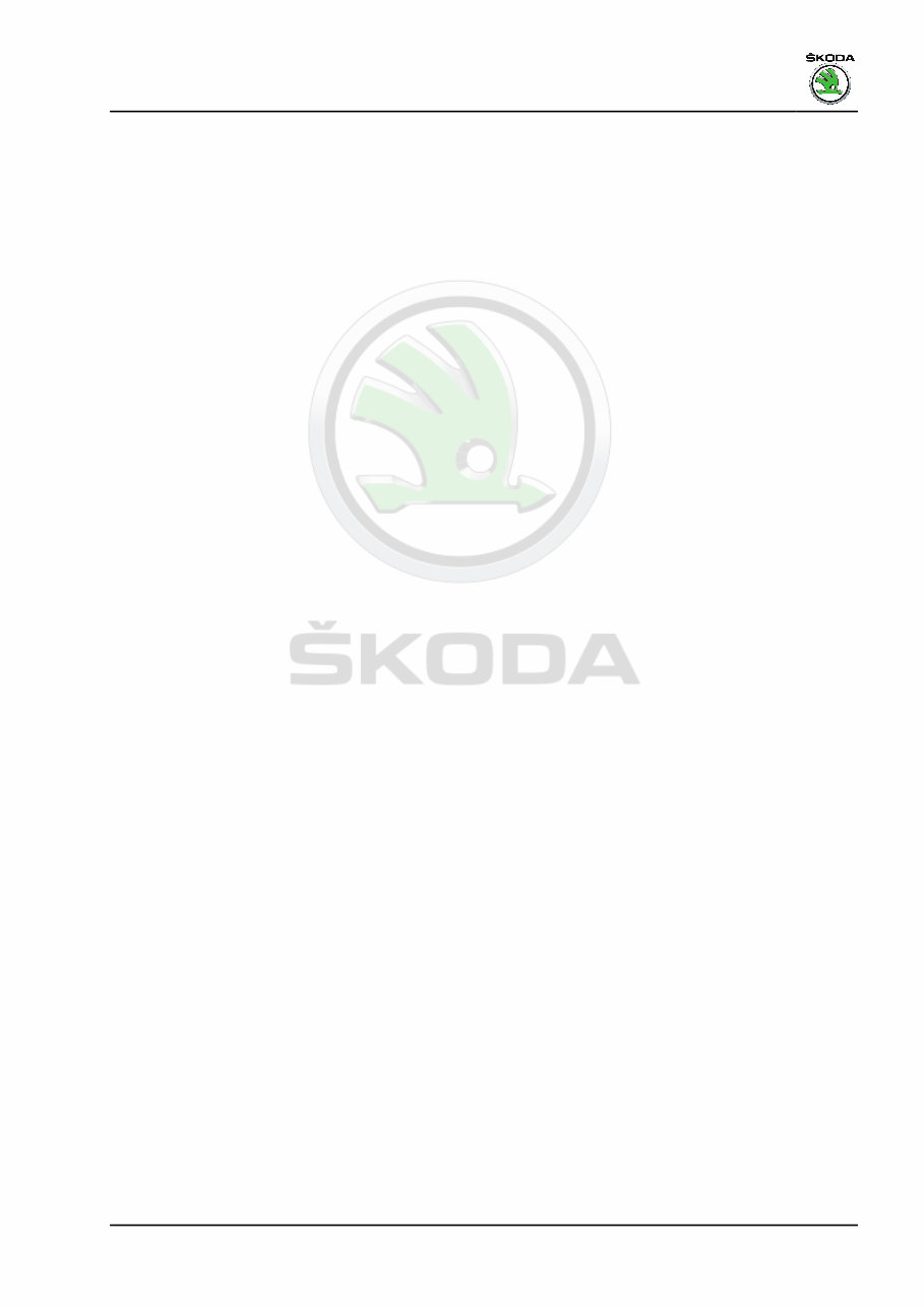 2022 SKODA Fabia Download Service & Repair Manual preview img 3
