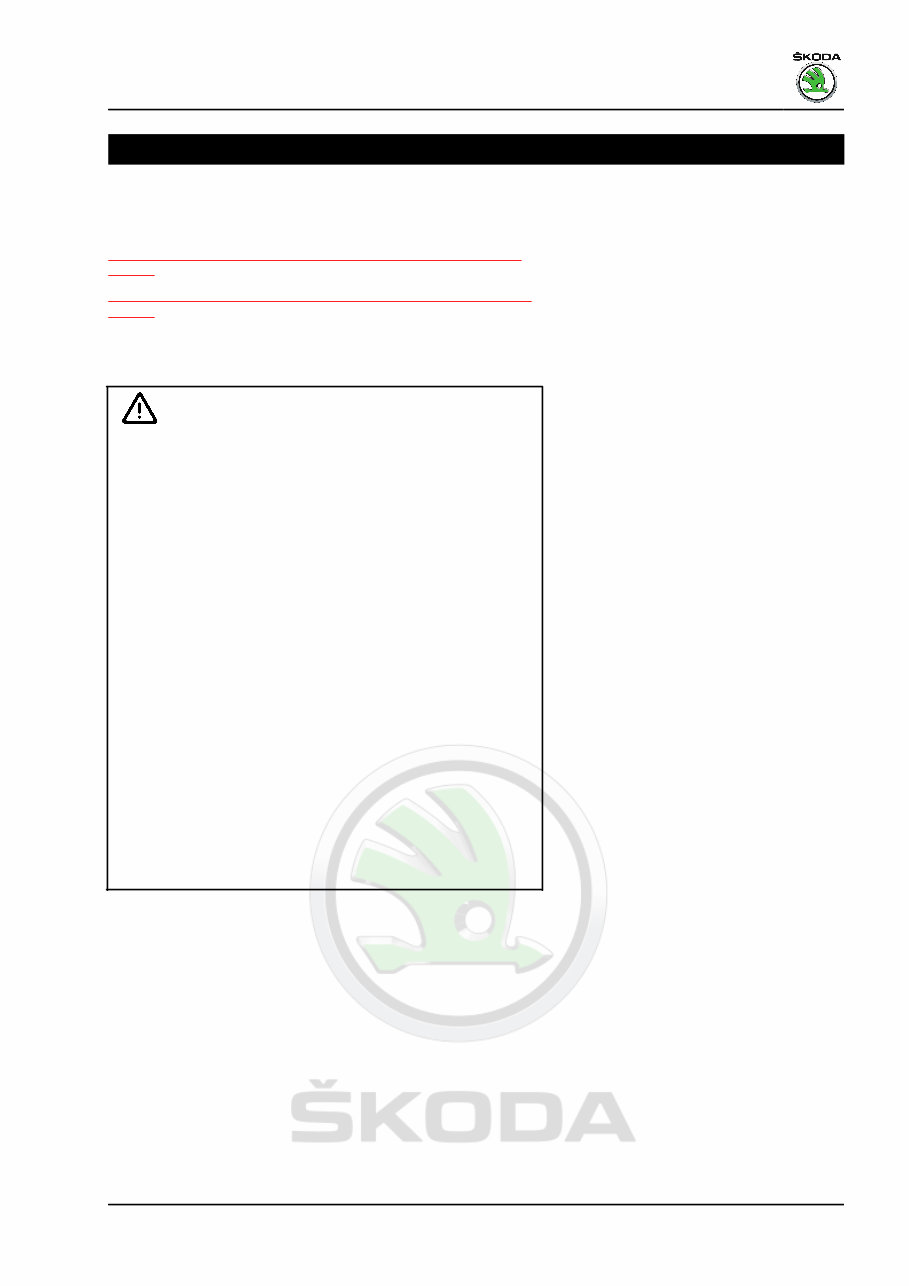 2022 SKODA Fabia Download Service & Repair Manual preview img 5