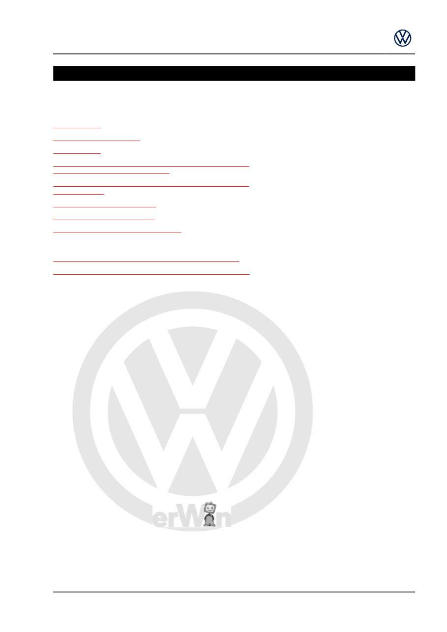 2017 Volkswagen Touran Download Service & Repair Manual preview img 9