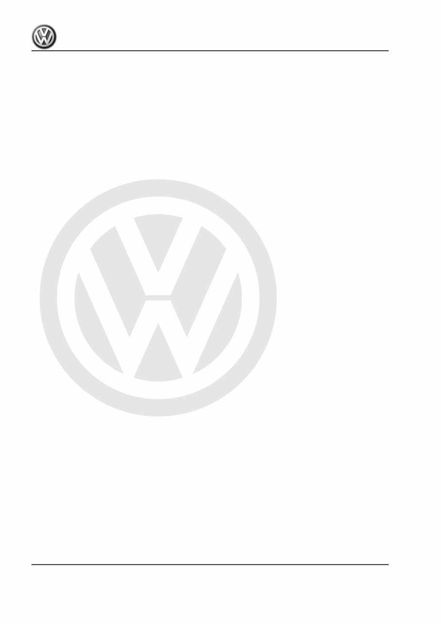 2019 Volkswagen Polo GTI Download Service & Repair Manual preview img 2