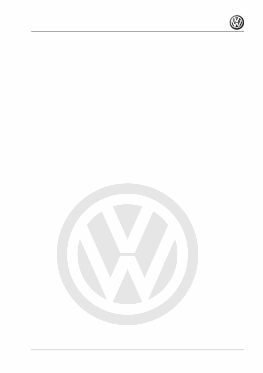 2019 Volkswagen Polo GTI Download Service & Repair Manual preview img 3