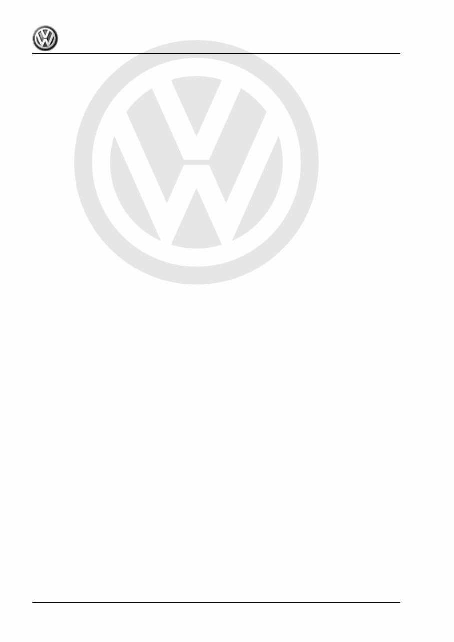 2019 Volkswagen Polo GTI Download Service & Repair Manual preview img 4