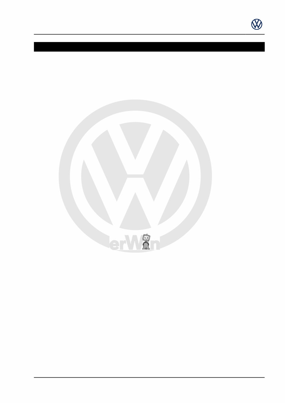 2019 Volkswagen Amarok Double Cab Download Service & Repair Manual preview img 5