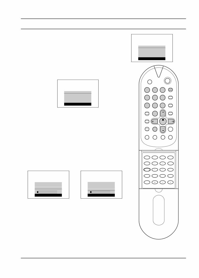 OWNER Manual LG CE25Q20ET Color Television preview img 9