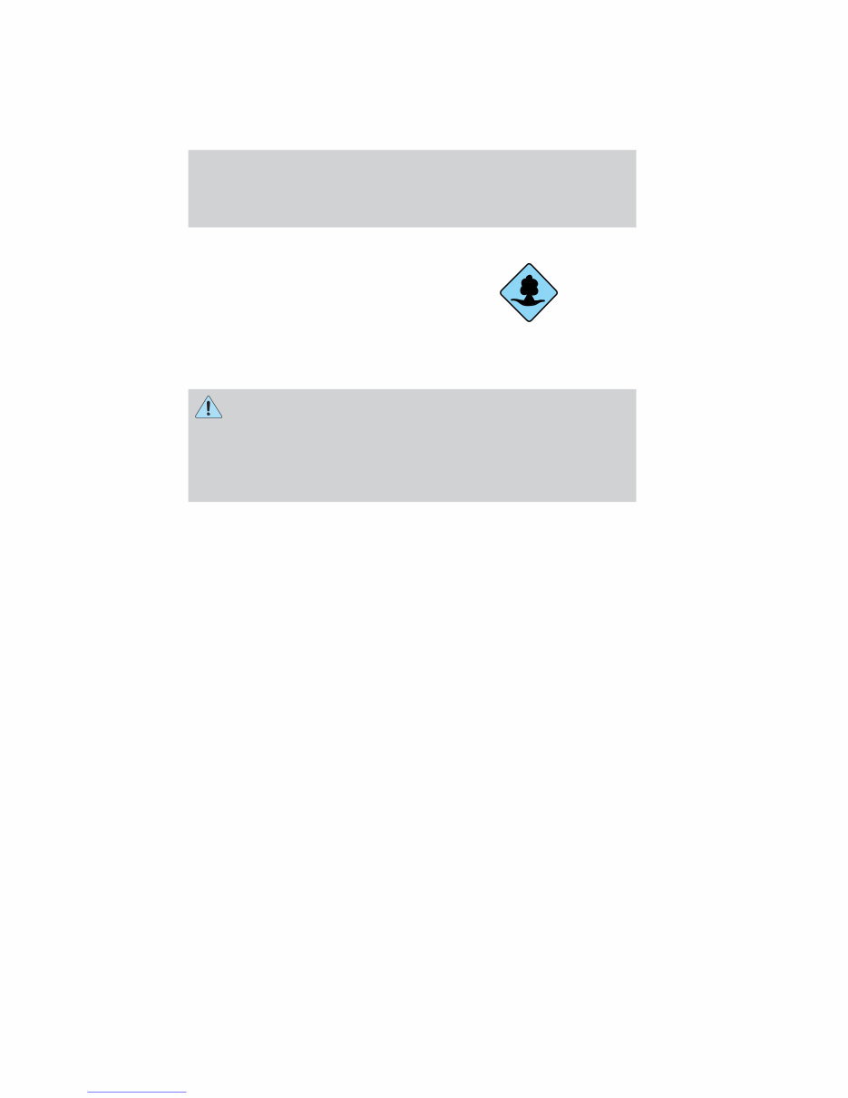 2011 Ford Fiesta Owners Manual preview img 5