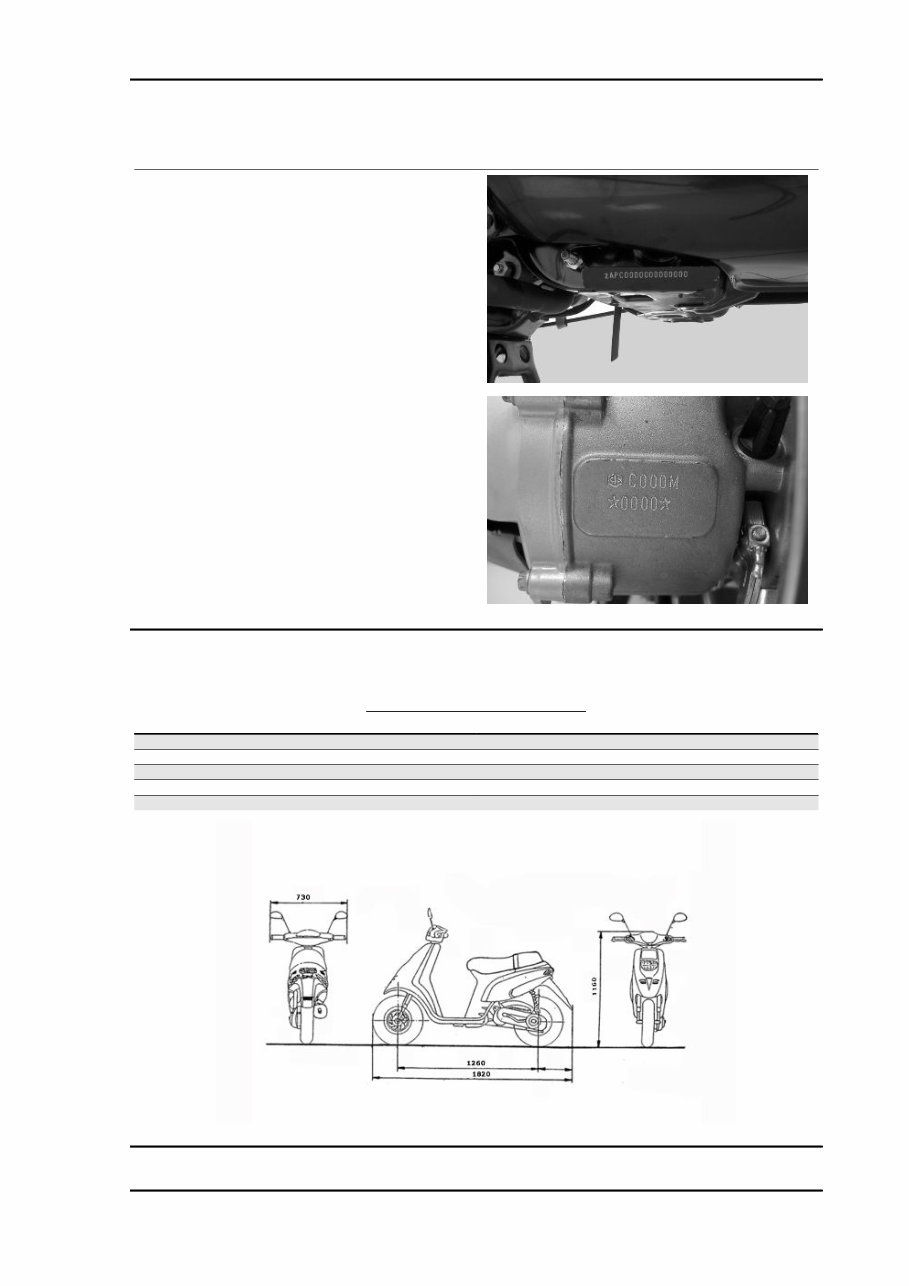 2006-2009 Piaggio Typhoon 50 Service & Repair Manual preview img 7