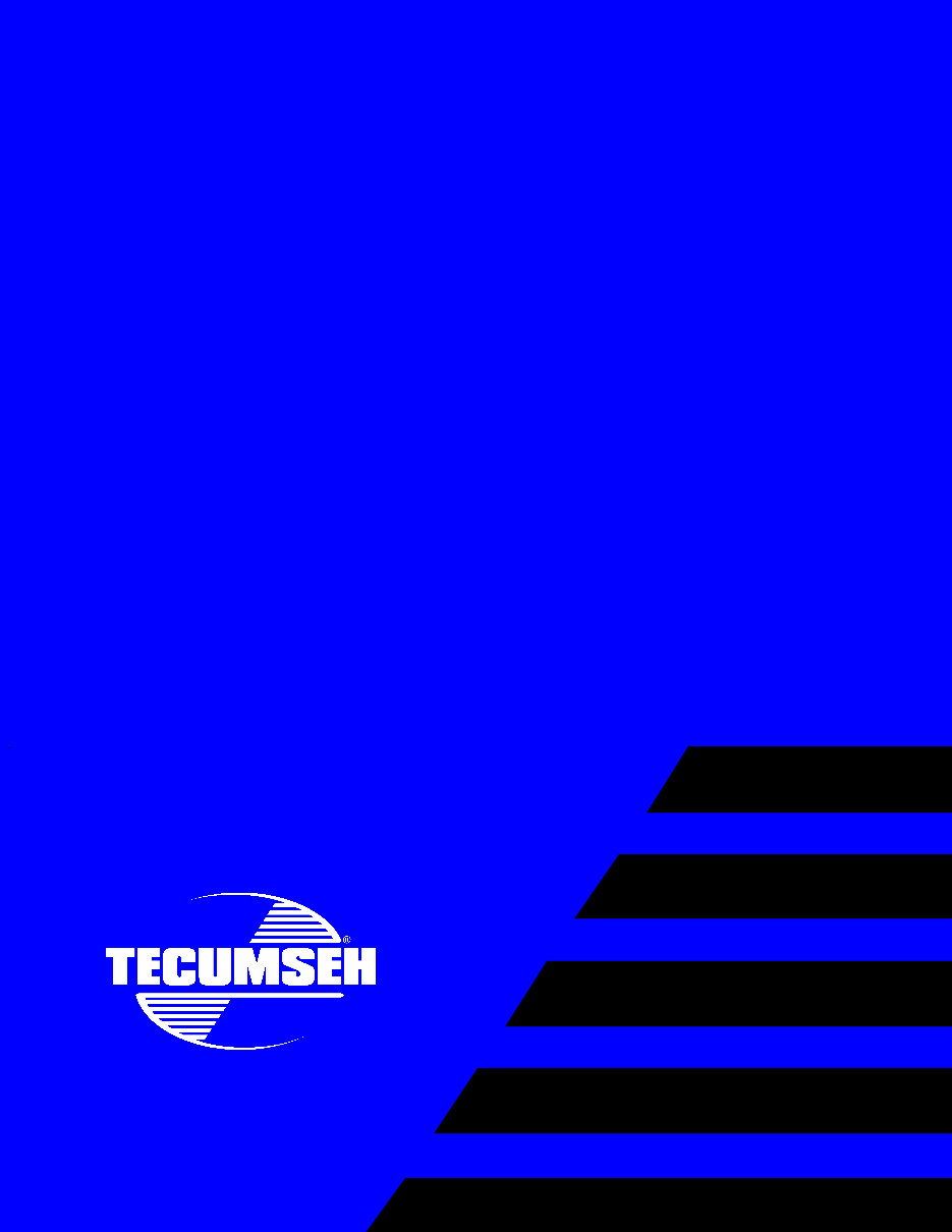 TECUMSEH PEERLESS TRANSAXLE 2300 Series Factory Service & Work Shop Manual preview img 1