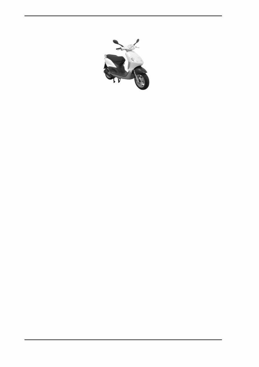 Piaggio FLY 150 USA Workshop Service & Repair Manual preview img 4