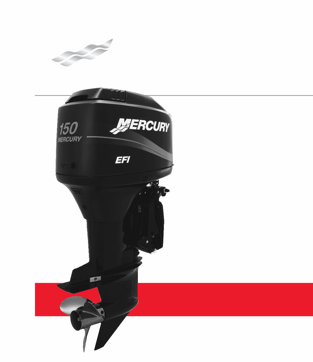 2002-2004 Mercury Outboard 150HP/175HP/200HP 2-Stroke, 2002-2007 4-Stroke Service & Repair Manual preview img 1