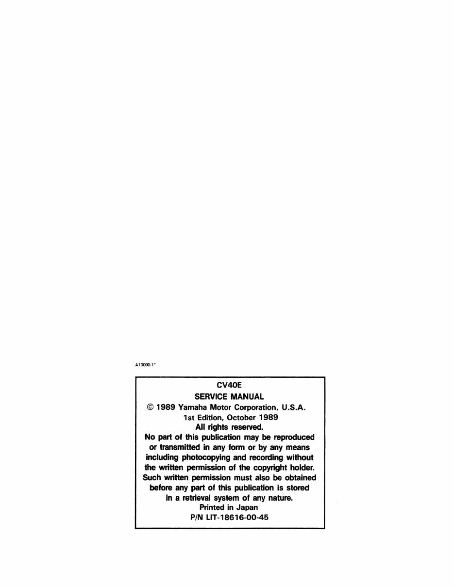 1995 Yamaha C40ELRT (2 stroke) Service & Repair Manual preview img 2