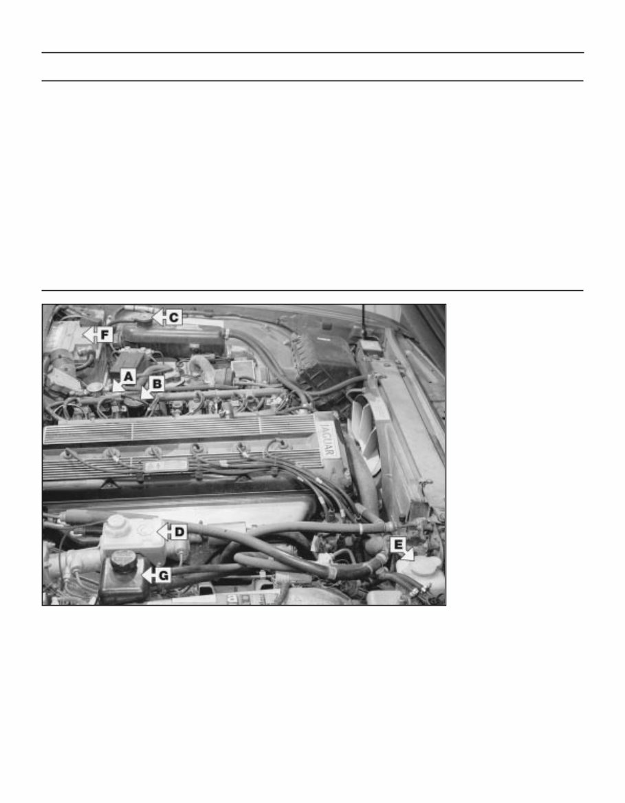 Jaguar XJ6 service and repair manual preview img 10