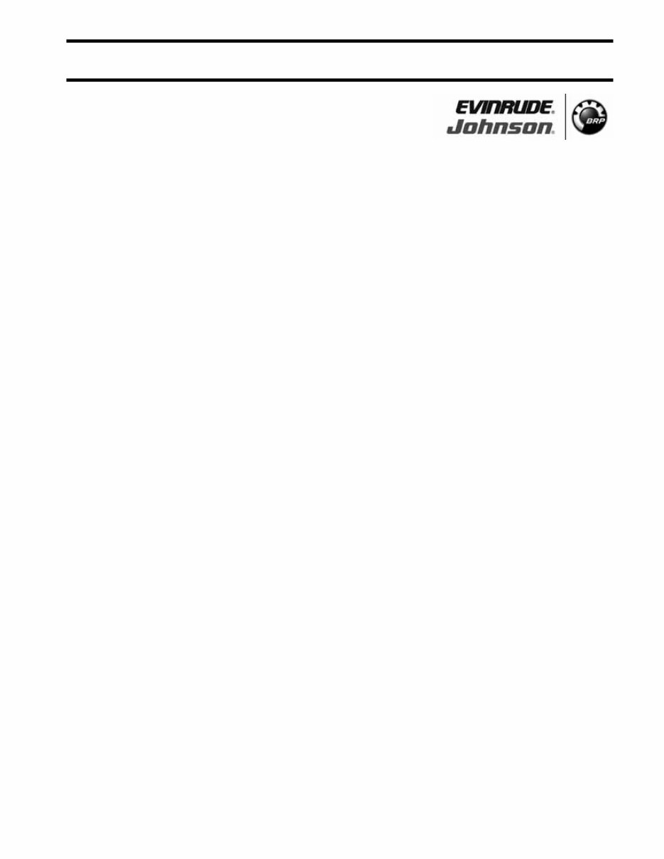 2008 Evinrude E-TEC 250-300 Hp Service & Repair Manual preview img 3