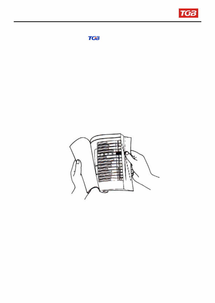 TGB BLADE 425 400 ATV Shop Manual preview img 3