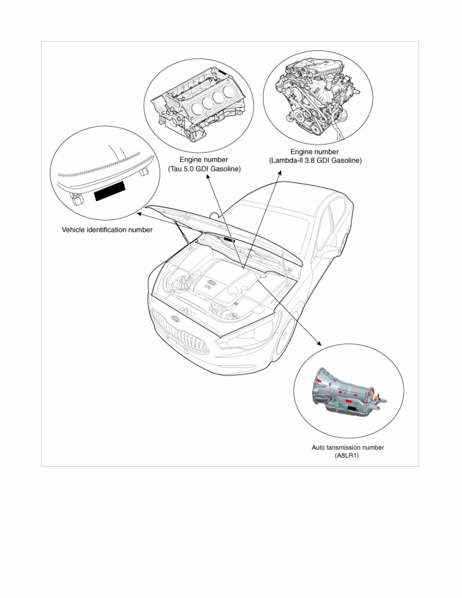 2015 Kia K900 Service & Repair Manual preview img 2