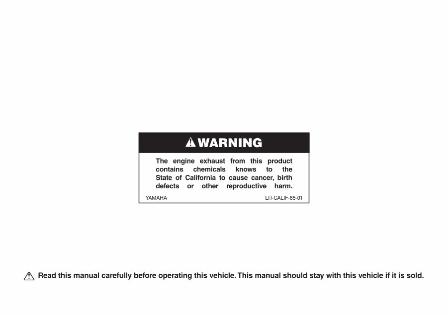 2011-2012 STRATOLINER DELUXE Service Manual Repair Manuals -and- Owner's Manual, Ultimate Set preview img 3