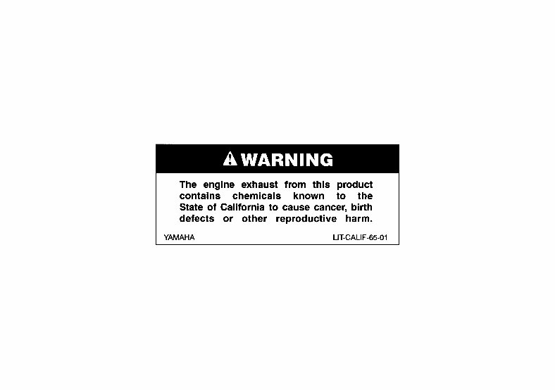 2003-2007 Yamaha Kodiak 450 (YFM450) Service & Repair Manual (incl. Owner's Manual) preview img 2