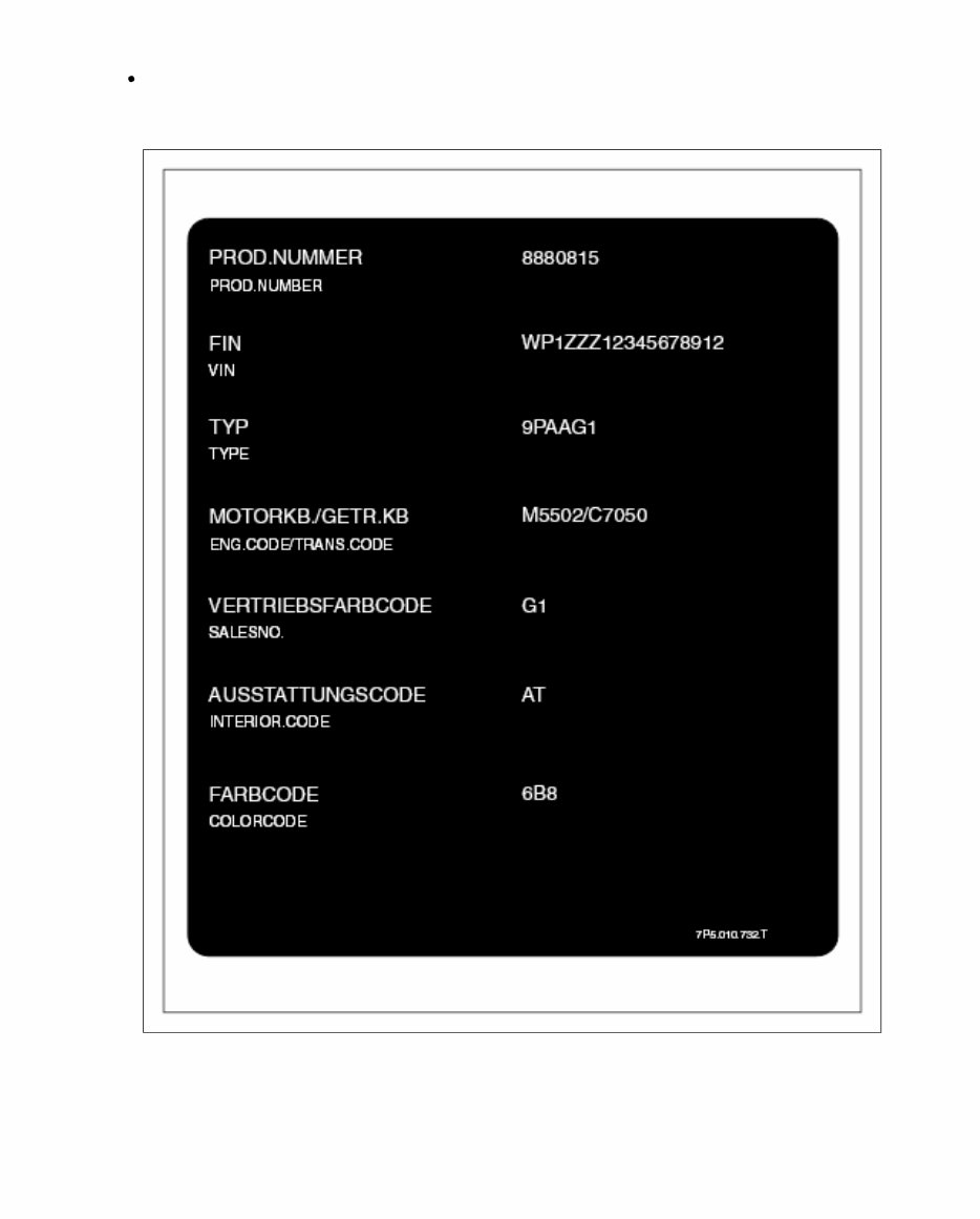 2010 Porsche Panamera Service & Repair Manual preview img 6