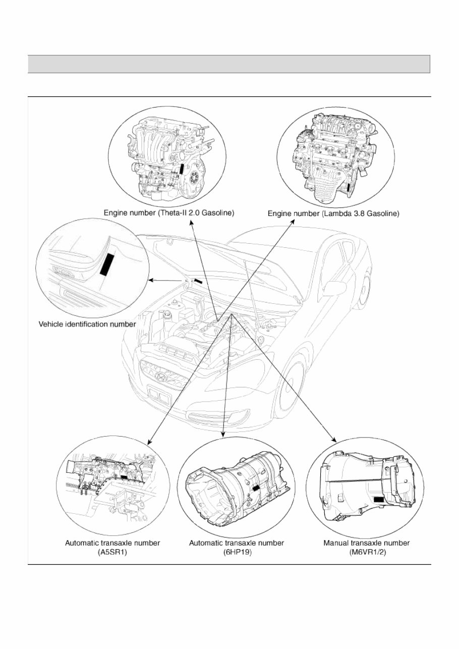 2009-2010 Hyundai Genesis Coupe Service & Repair Manual preview img 1