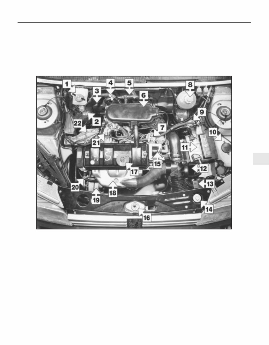 1984-1997 PEUGEOT 205 Service Repair Manual preview img 6