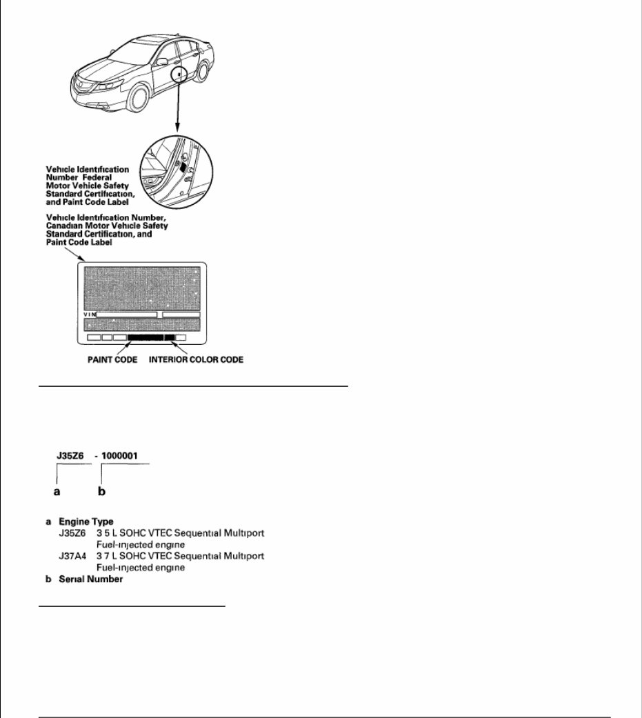 2009 Acura TL Service & Repair Manual preview img 2