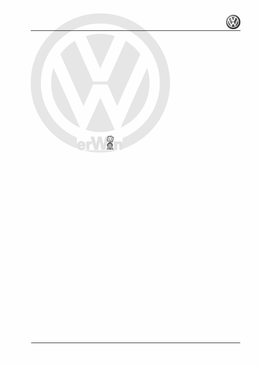 2009 Volkswagen Beetle Download Service & Repair Manual preview img 3