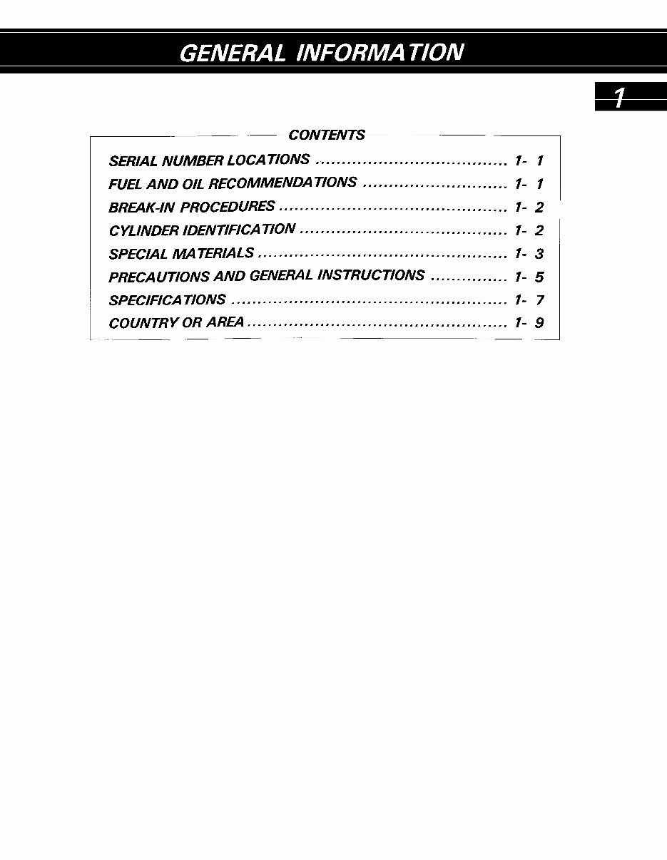 1998-2001 Suzuki GS500E Service & Repair Manual preview img 3