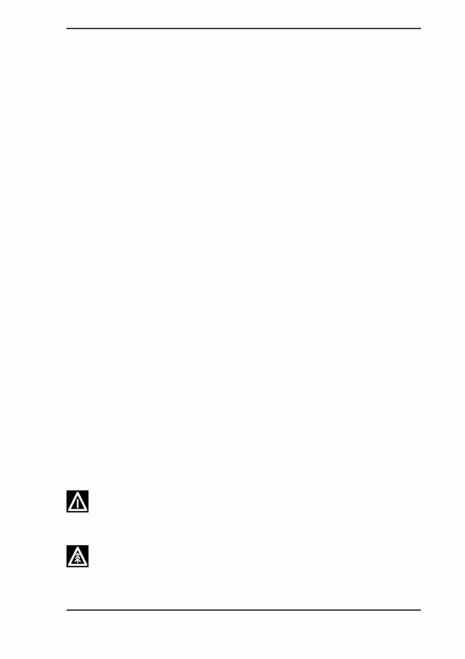 2012 Piaggio APE TM Benzina Service & Repair Manual preview img 3
