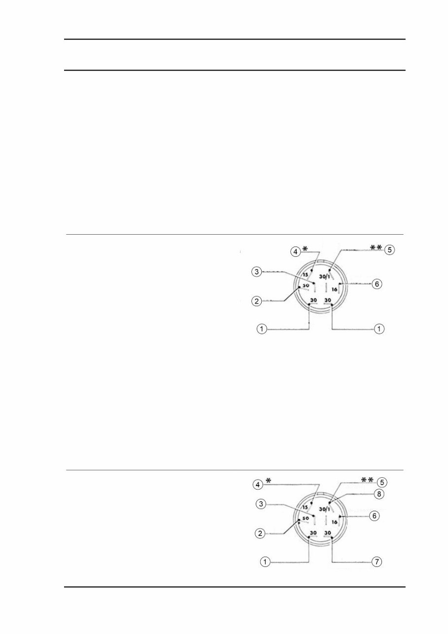 2012 Piaggio APE TM Benzina Service & Repair Manual preview img 7