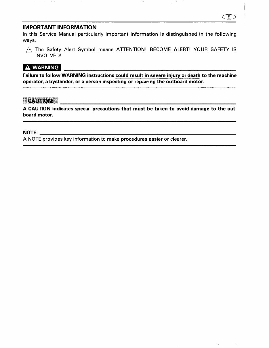 2000 Yamaha F100X Outboard Service & Repair Manual preview img 4