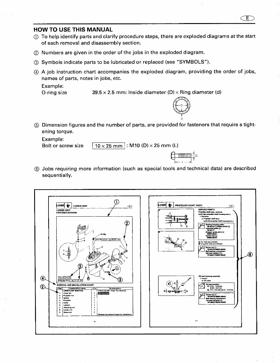 2000 Yamaha F100X Outboard Service & Repair Manual preview img 5
