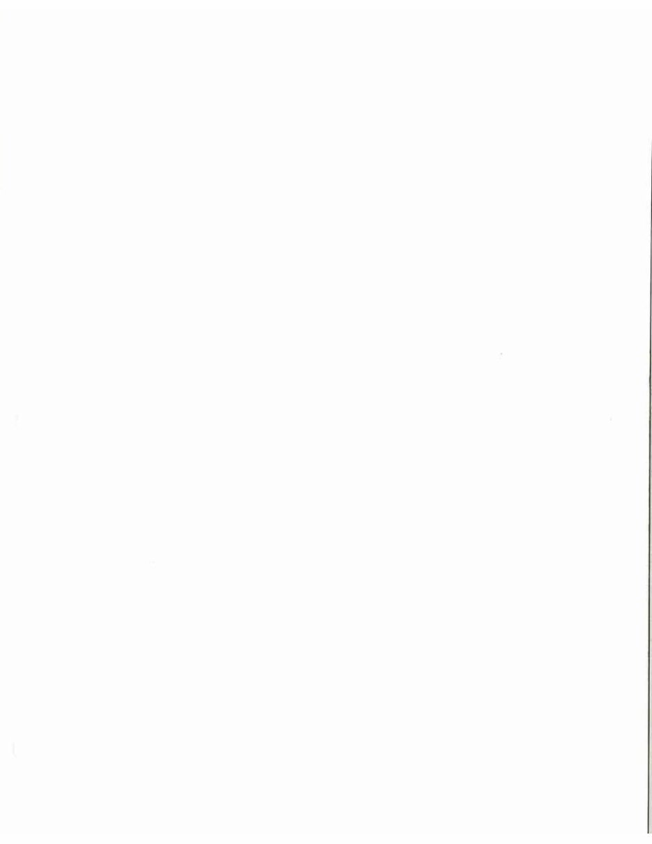 International Cub Cadet 86 108 109 128 129 149 169 800 1000 1200 1250 1450 1650 Tractor Complete Workshop Service Repair Manual preview img 2