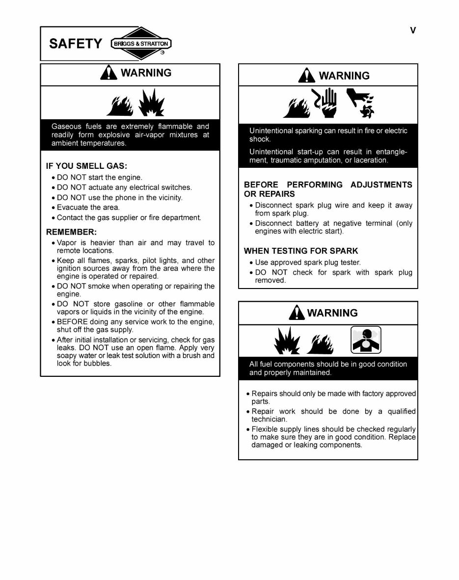 1919 to 1981 Briggs & Stratton 4 Cycle Air-Cooled Engines Workshop Service Repair Manual preview img 6