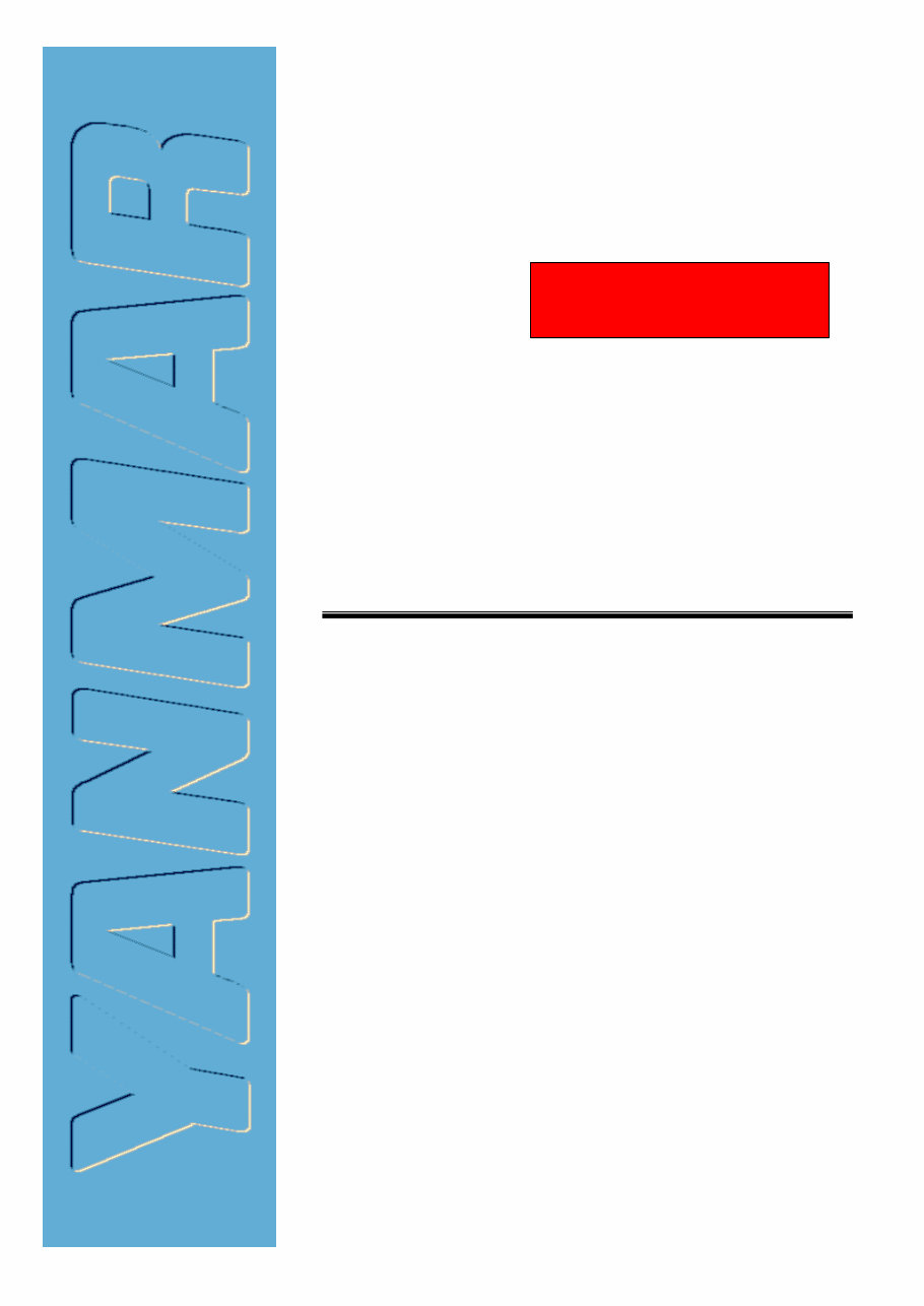 YANMAR YSM8 YSM12 Marine Diesel Engine COMPLETE Workshop Repair Manual preview img 1