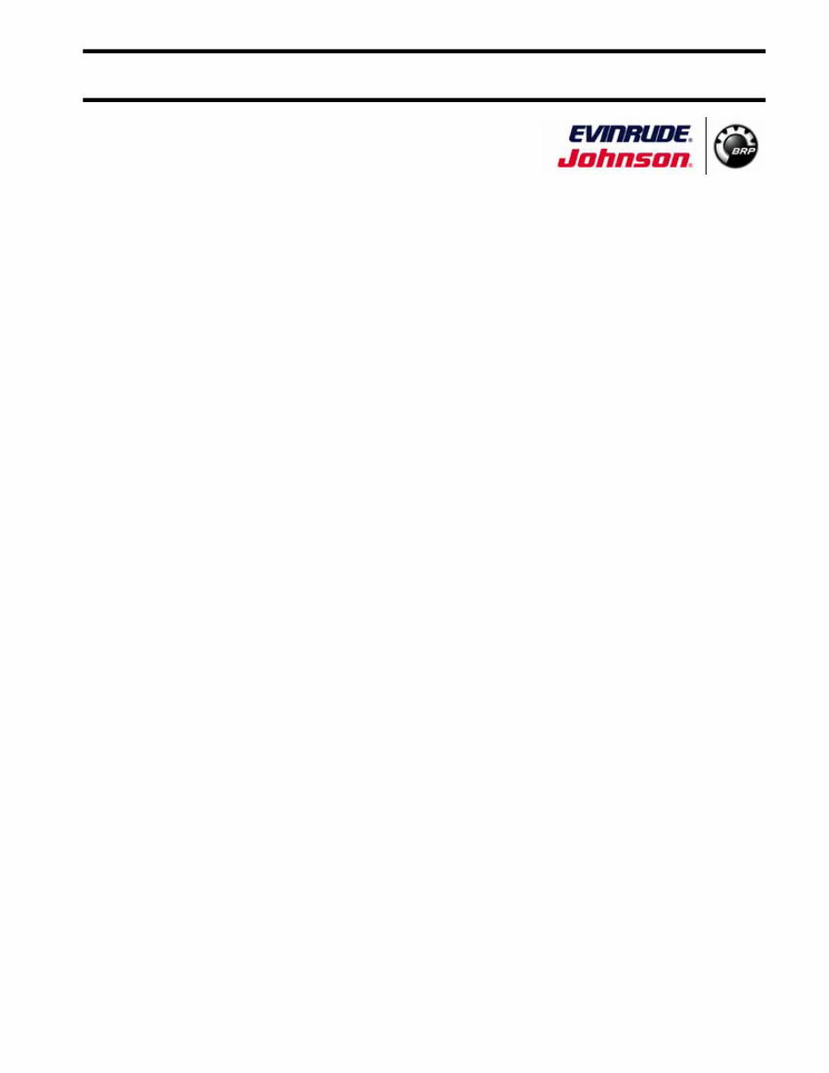 2009 Evinrude 75HP, 90HP E-TEC Outboards OEM Service & Repair Manual preview img 3