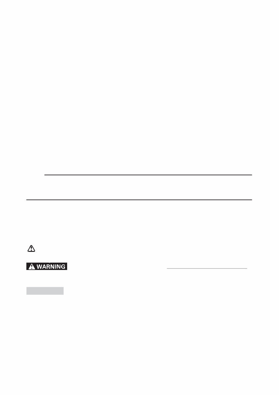 Yamaha FZS 1000 2005 Repair Service Manual preview img 4
