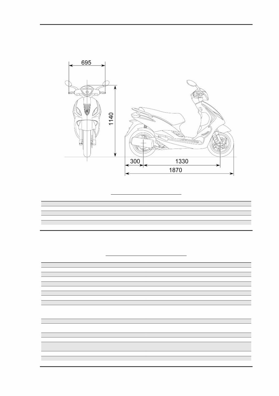 PIAGGIO FLY 125 FLY 150 Scooter Workshop Service Manual preview img 9