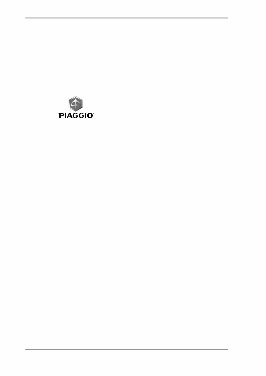 Piaggio Fly 50 2T Repair Service Manual preview img 2