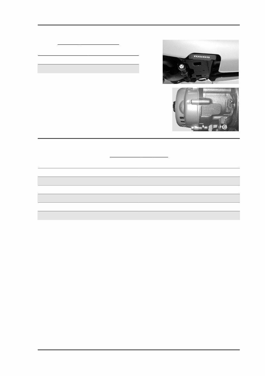 Piaggio Fly 50 2T Repair Service Manual preview img 9