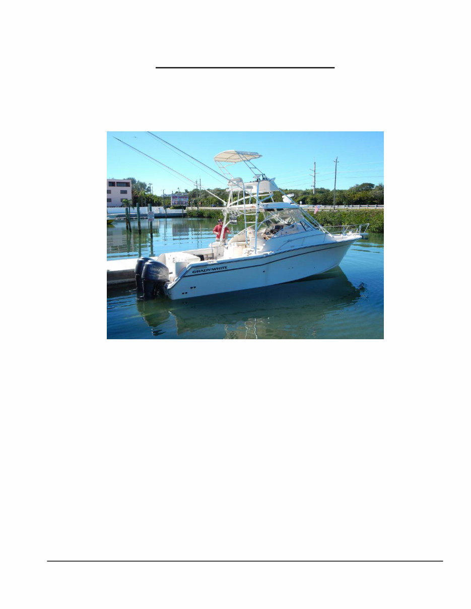 2006 Grady White 330 Express Manual preview img 1