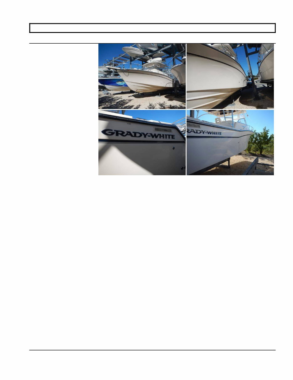2006 Grady White 330 Express Manual preview img 8