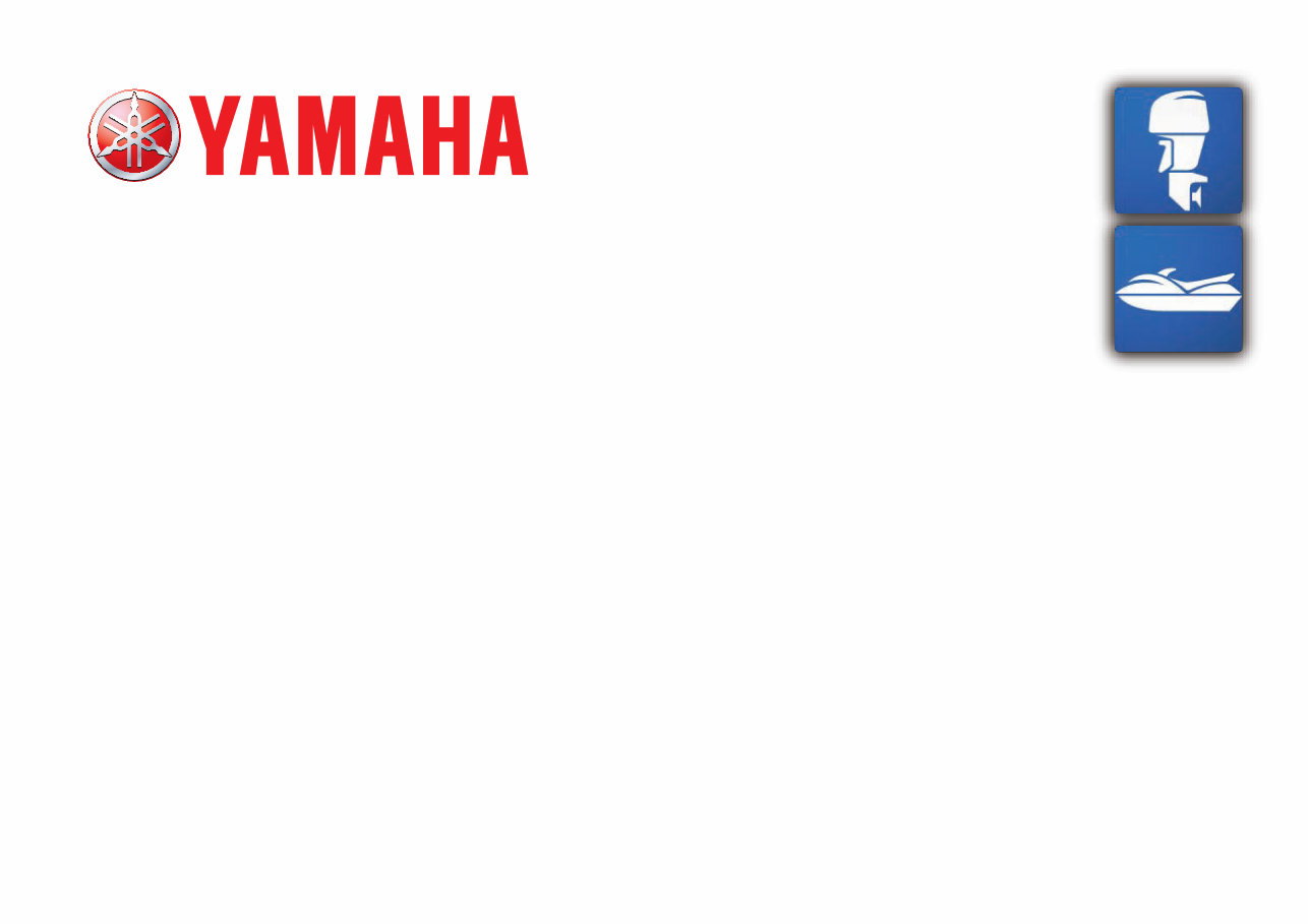 Yamaha Diagnostics YDIS-Ver2.00 Instruction Manual preview img 1