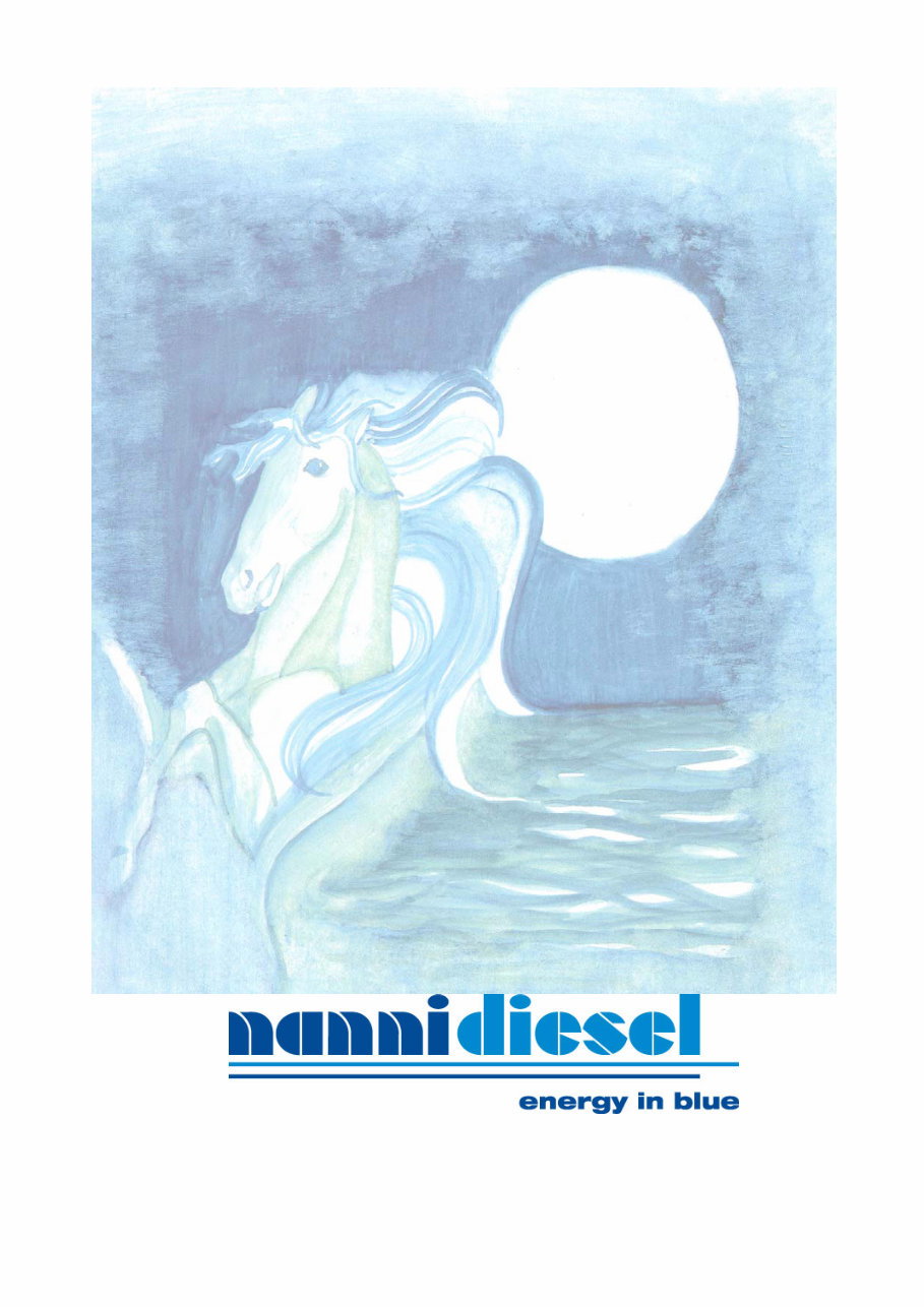 Nanni Marine Diesel Engine 3.100HE, 3.110HE and 4.150HE Workshop Manual preview img 1