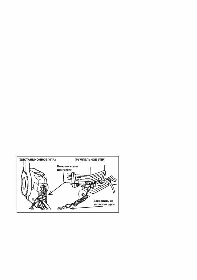 Nissan Marine NSF8/9.8 Owner's Manual [, RUS, 1.52 MB] preview img 5