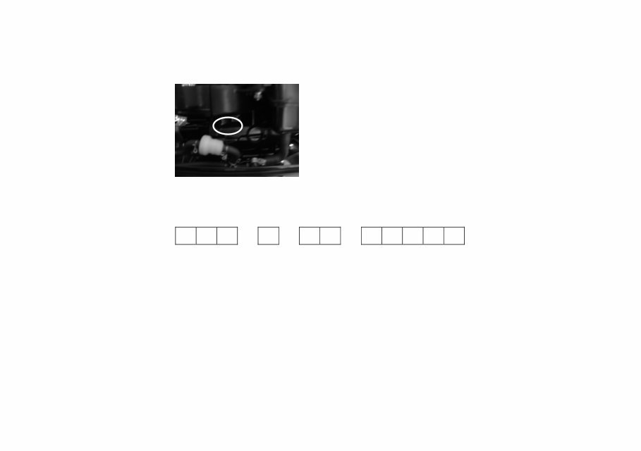 Parsun T4BM/T5BM/T5.8BM Owner's Manual [, ENG, 1.96 MB] preview img 4