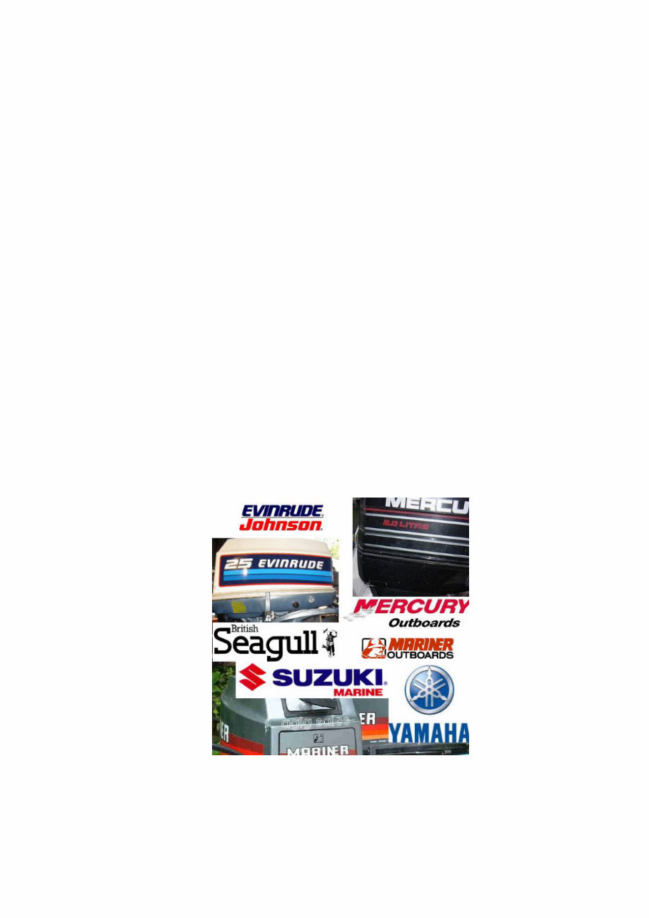 Ultimate Outboard Model Year Identification Guide [EN] preview img 1