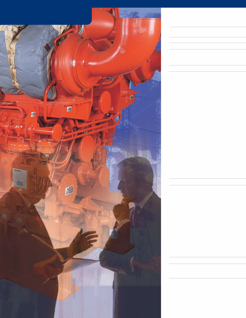 Waukesha Engine Power Ratings preview img 10