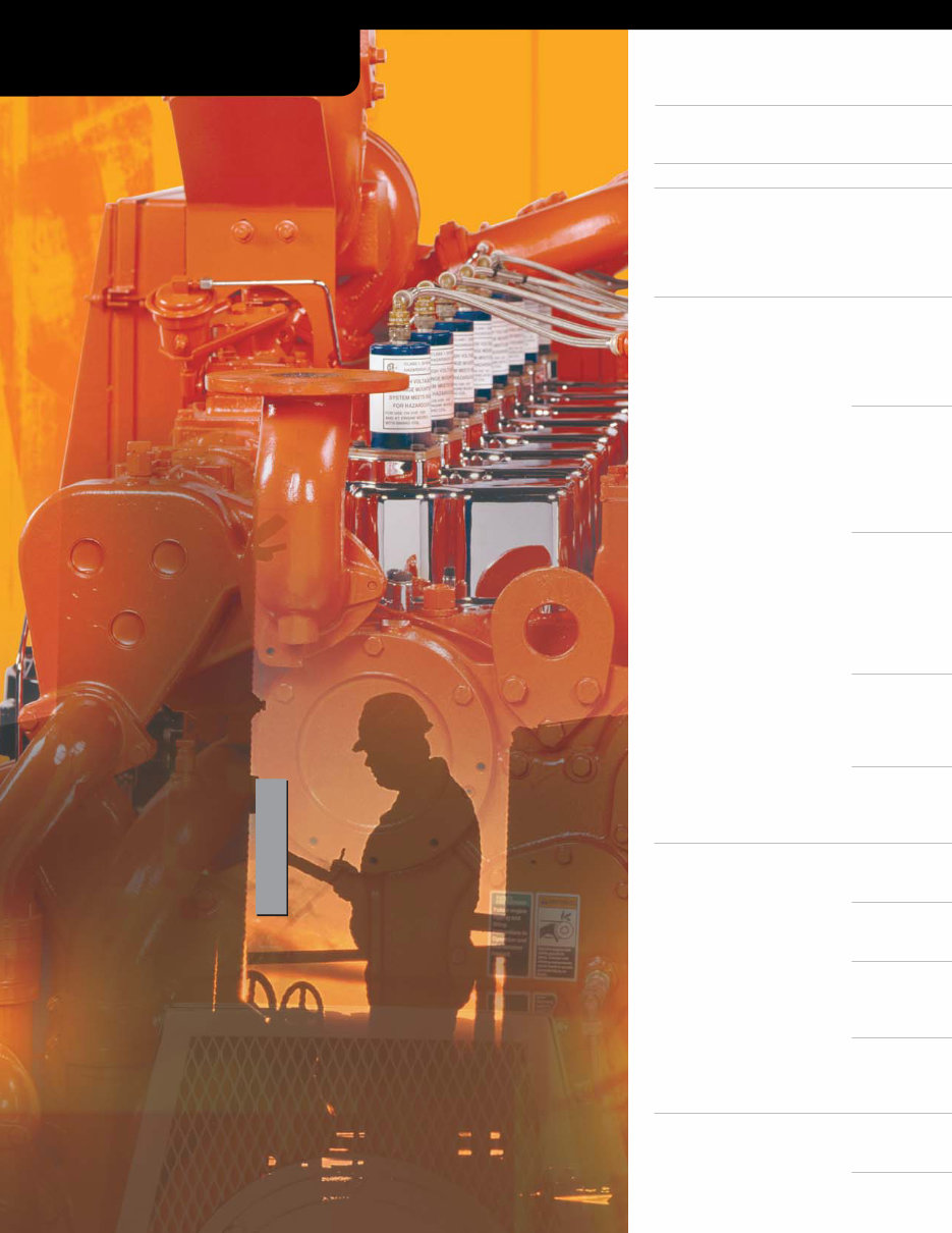 Waukesha Engine Power Ratings preview img 6